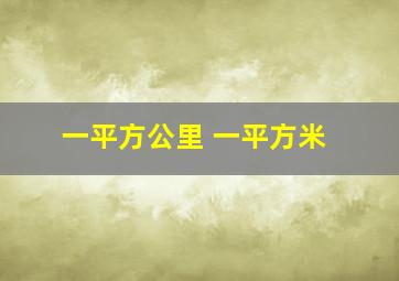 一平方公里 一平方米